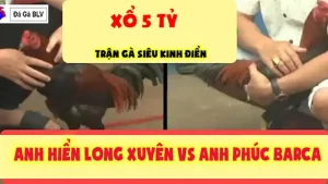 Trận đá gà 5 tỷ kinh điển của Phúc Bình Dương và Hiển Long Xuyên